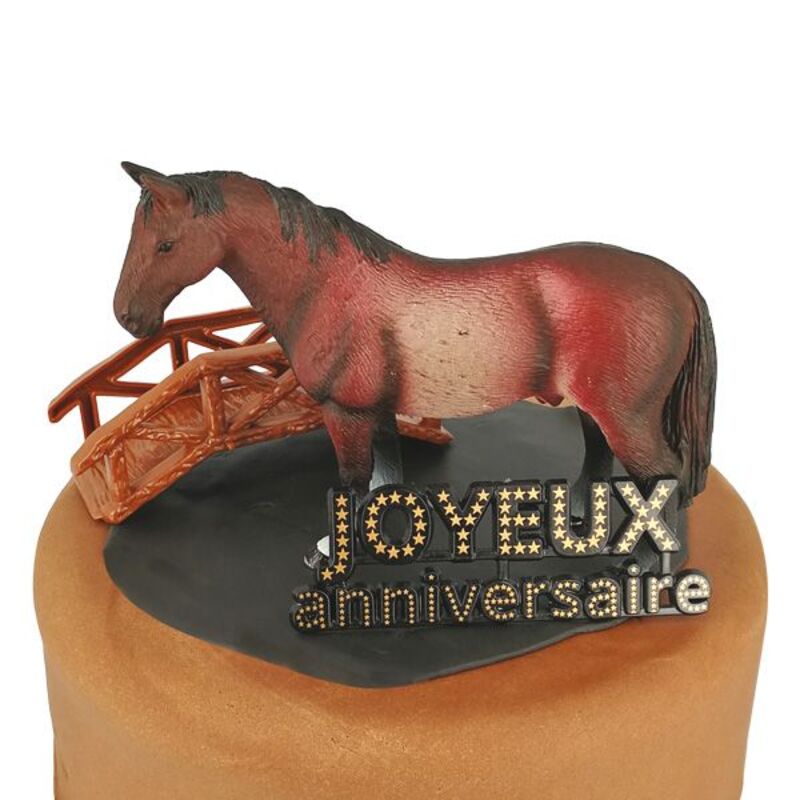 Décoration de gâteau en forme de cheval - Décoration de gâteau - Chevaux -  Décoration de gâteau d'anniversaire - Décoration de cheval